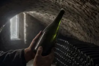 A vigneron in a dim champagne cellar carefully inspecting a misted bottle with natural light, chalky walls and rows of bottles in the background.