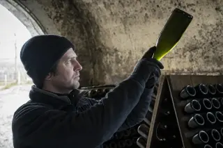 Champagne vigneron examining a bottle against cold light in a rustic cellar with stone walls and concealed racks.