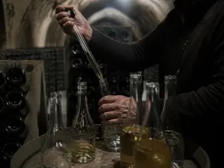 Vigneron’s hands blending wine in a dim Champagne cellar lined with bottles on wooden racks, subdued grey-green tones highlighting the craft of assemblage.