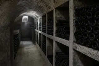 Champagne cellar with rows of bottles resting on chalk shelves in dim, natural light, cool gray-green tones emphasizing the calm, artisanal atmosphere.