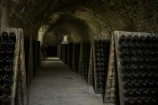 vaulted Champagne cellar with rows of bottles on wooden racks, cold diffuse light, chalk dust on the floor, no people